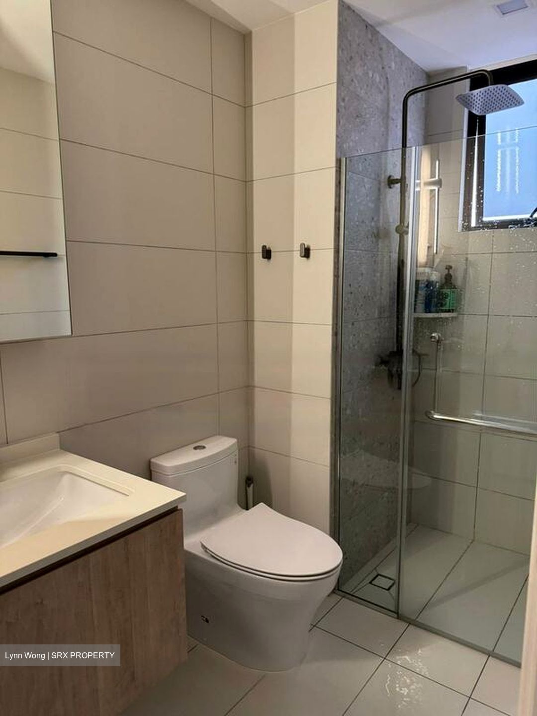 Spring Grove (D10), Condominium #458542421